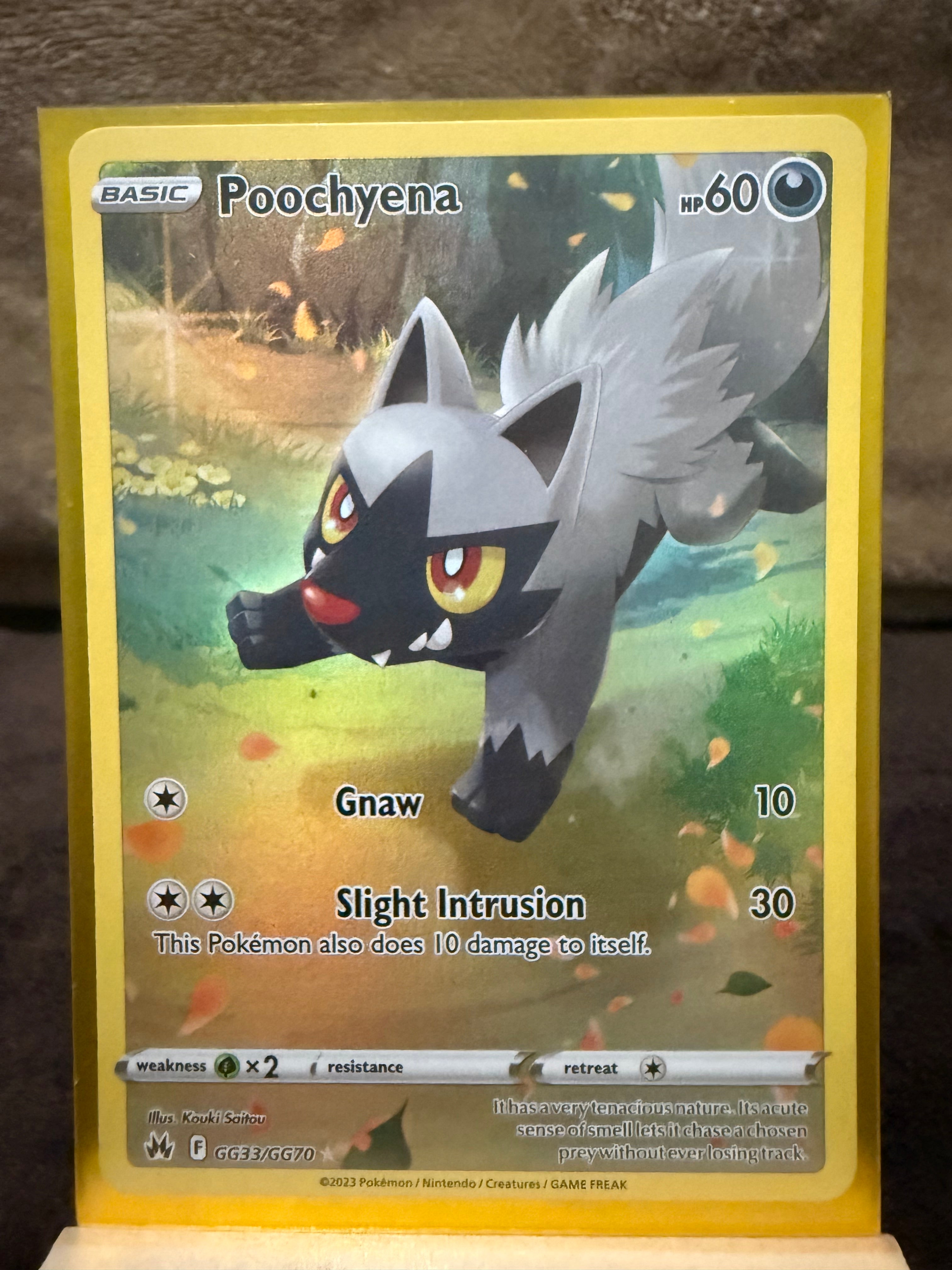 Poochyena - Crown Zenith: Galarian Gallery