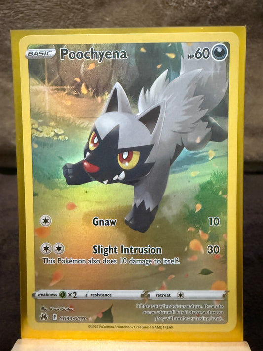 Poochyena - Crown Zenith: Galarian Gallery
